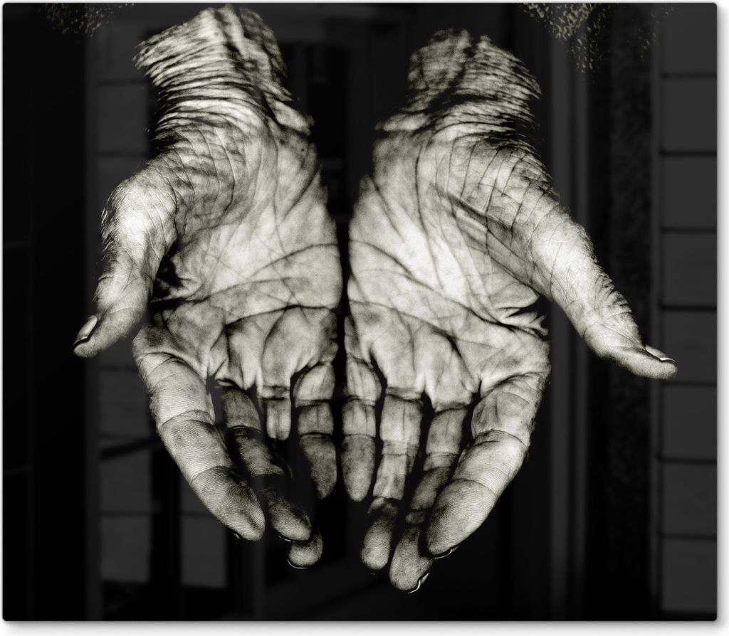 DEQORI Herdabdeckplatte Glas 1-tlg 'Hände des Lebens' Abdeckplatte Küche Glaskeramikkochfeld Herd