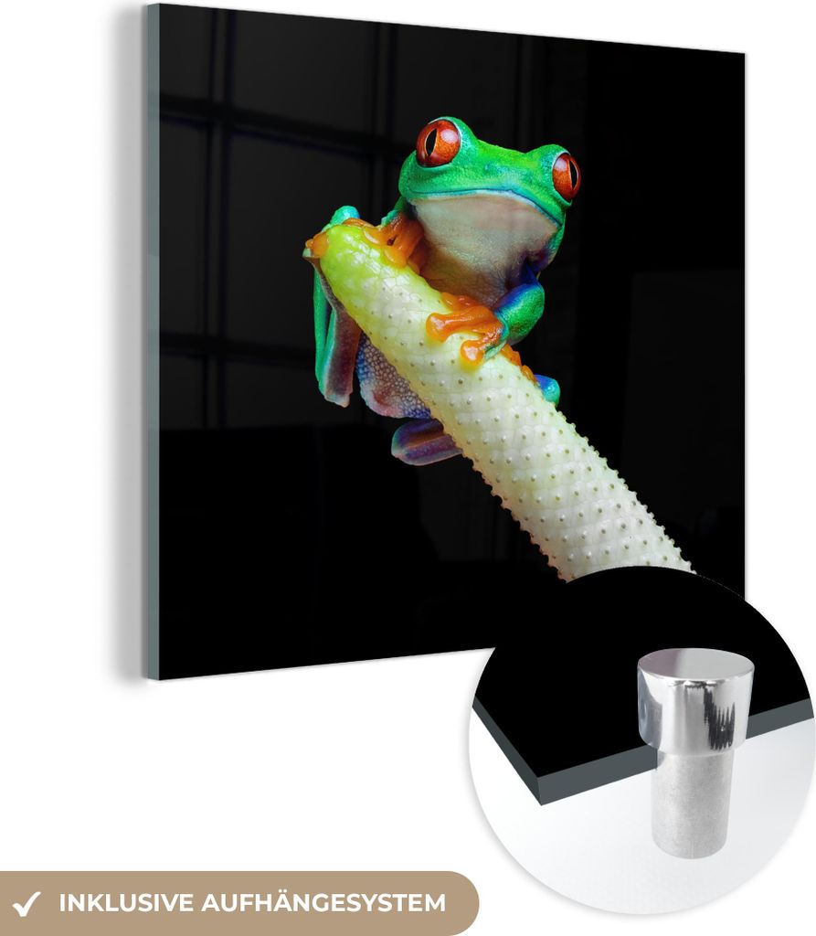 MuchoWow Glasbilder - Bilder auf Wandbild - Foto auf Glas Frosch - Tier - Pflanze 90x90 cm Wanddekoration aus Glas - Acrylglasbild - Acrylbilder - ...
