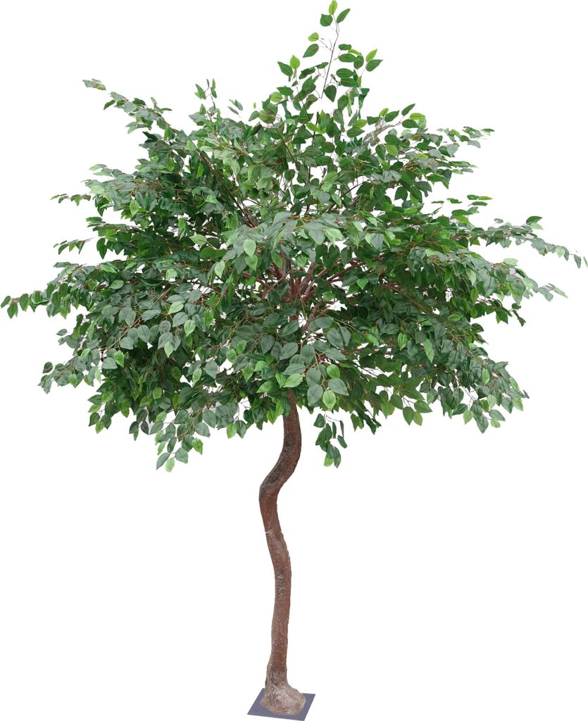 Künstlicher Banyan 290 m - Oviala Oiko