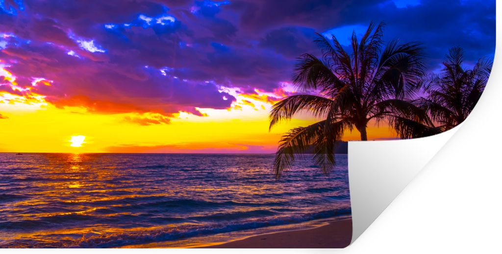 MuchoWow Wandtattoo Wandsticker Wandaufkleber Palme - Lila - Sonnenuntergang - Strand - Meer 80x40 cm Selbstklebend und Repositionierbar - Aufkleber