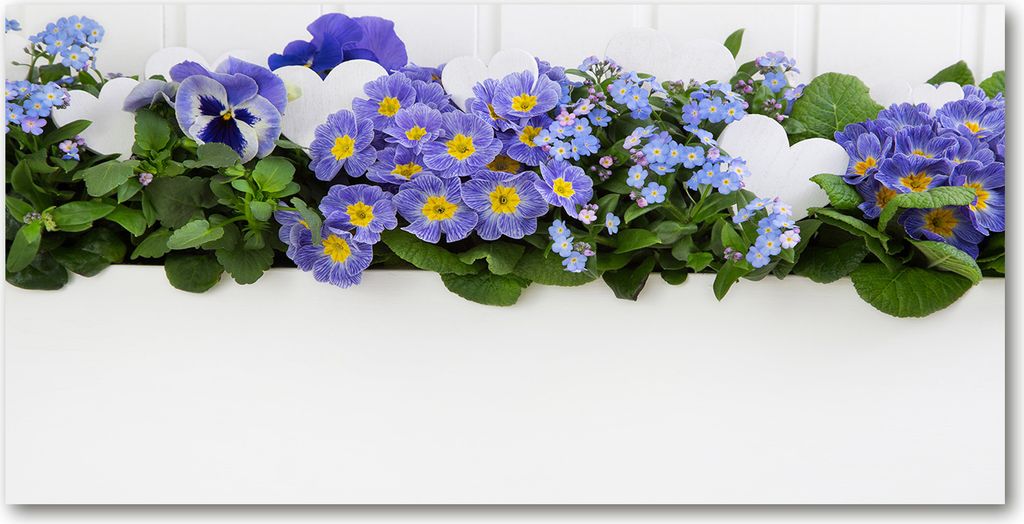 Tulup Küchenrückwand Spritzschutz aus Glas -100x50 -Spritzschutz auf gehärtetes GlasDeko Blumen & Pflanzen Blaue Blumen