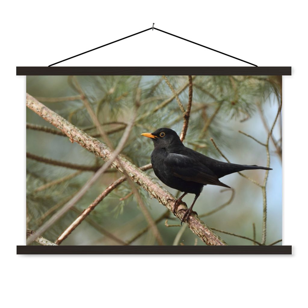 MuchoWow Textilposter Vogel - Amsel - Zweige - Tiere 90x60 cm mit schwarzem Rahmen - Aufhängungssatz