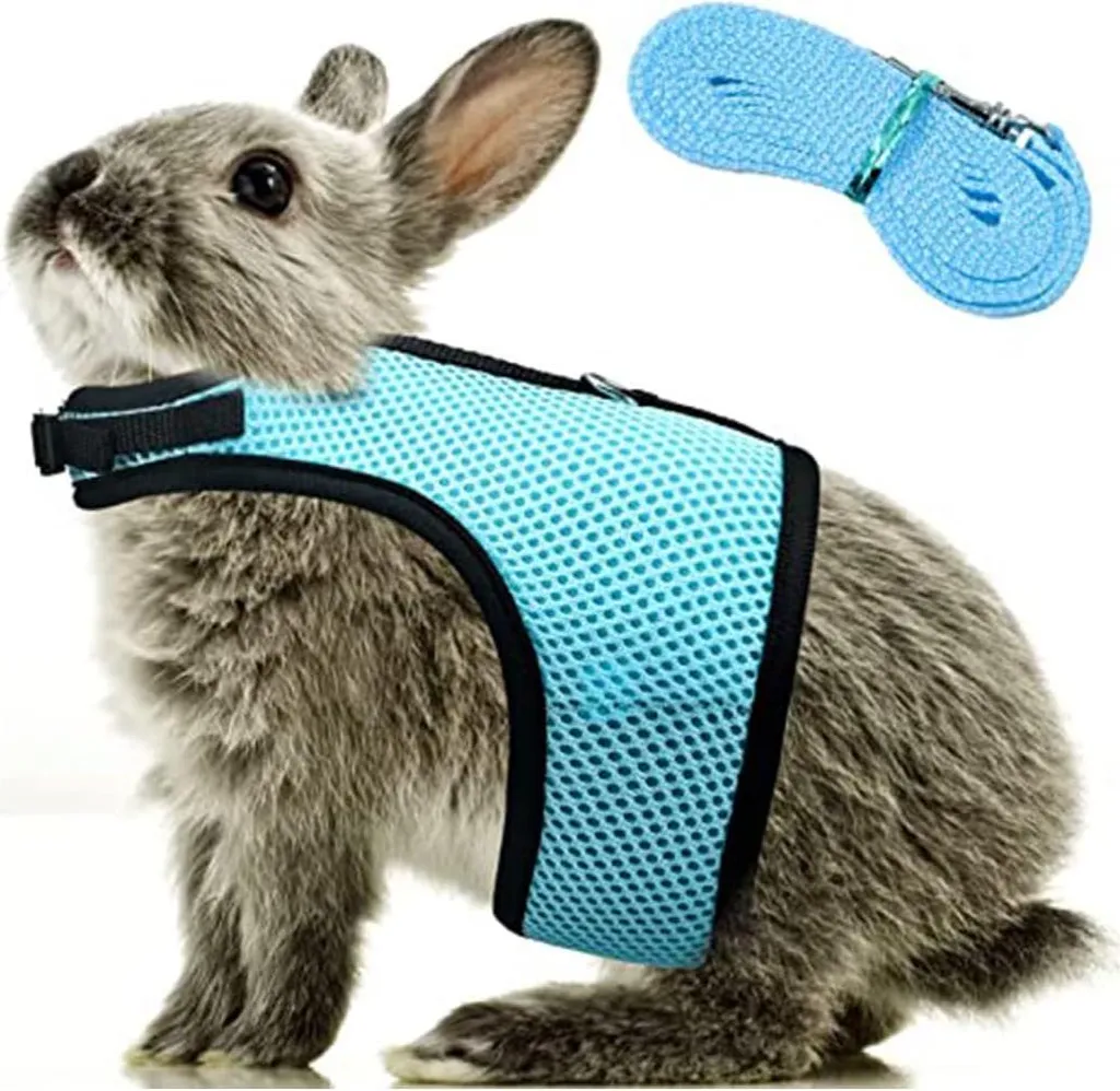 Harnais lapin en maille respirante et laisse de promenade - Taille M