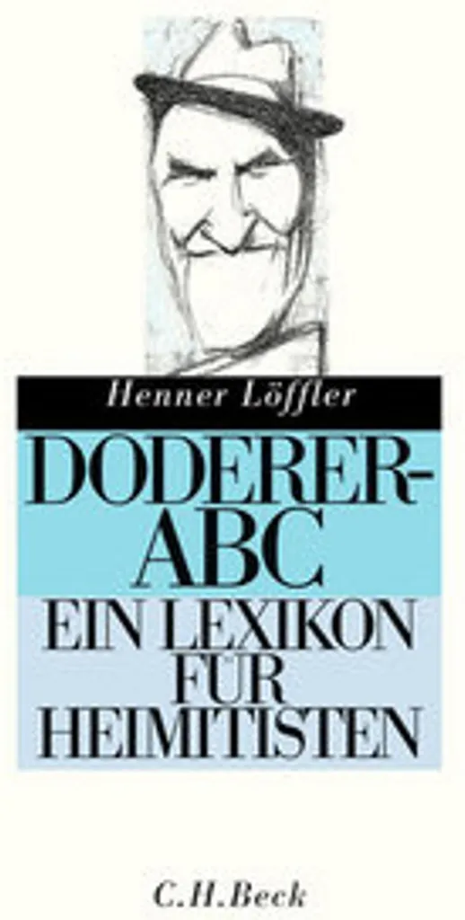 Doderer-ABC Détecteur de Pertes d'Énergie pour Rénovation et Isolation Combles
