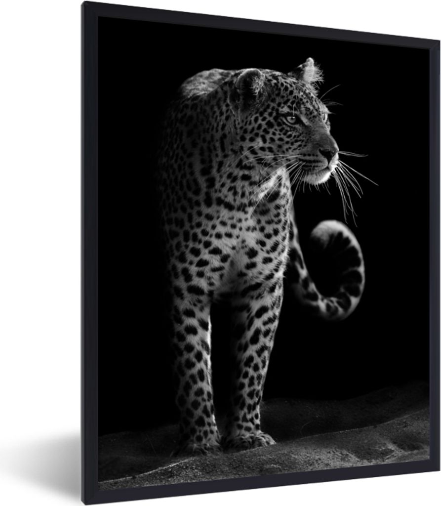 MuchoWow Gerahmtes Poster Wildtiere - Leopard - Natur - Schwarz - Weiß 30x40 cm - Poster mit Schwarzem Bilderrahmen Wandposter Rahmen Foto Bilde...