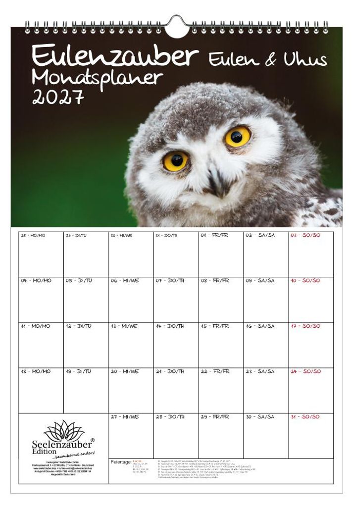Eulenzauber Eulen und Uhus Planer DIN A3 Kalender für 2027 - Geschenkset Inhalt: 1x Kalender, 1x Weihnachtsanhänger (insgesamt 2 Teile)