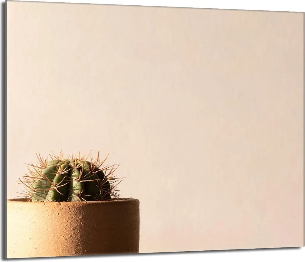 Protezione Piano Cottura Vetro 60x52 Beige Cactus | Accessorio Cucina Luxury