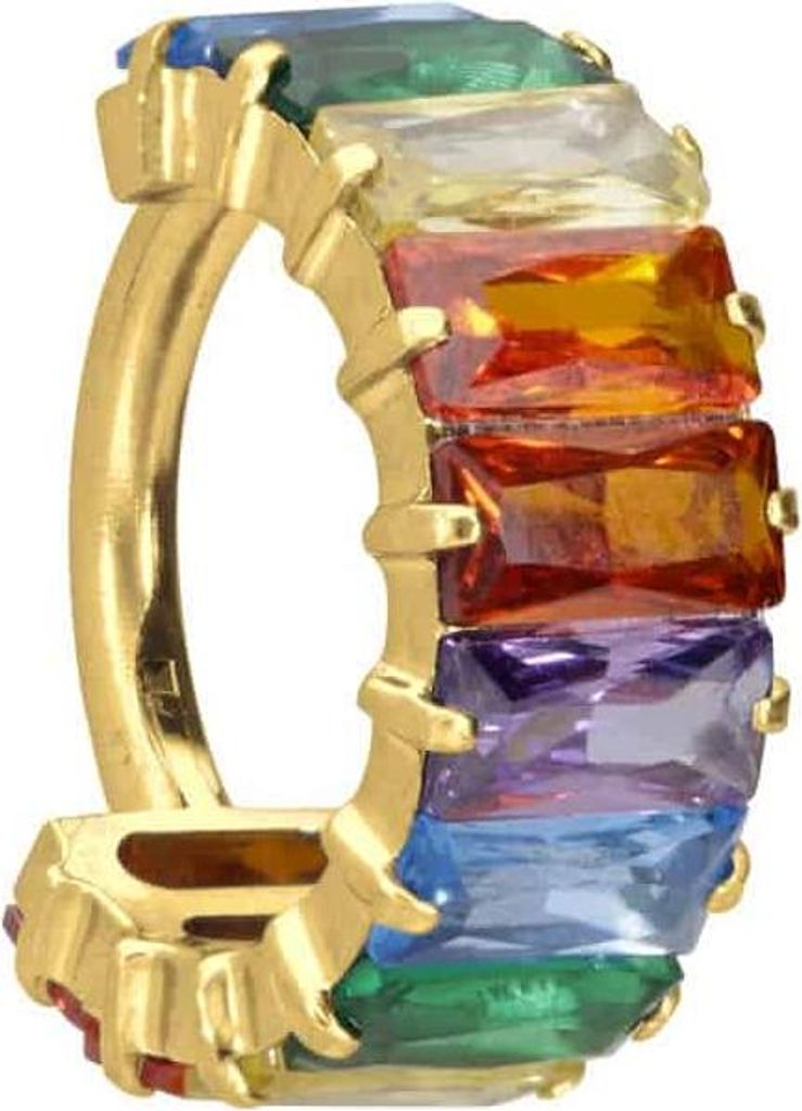 Ohrpiercing, Nasenpiercing, Septum Piercing Titan Segmentring Clicker EINGEFASSTE BUNTE KRISTALLRECHTECKE