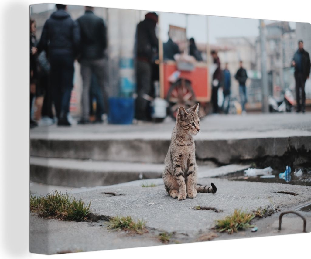 OneMillionCanvasses - Leinwandbilder - 140x90 cm, New York - Katze - Stein, Wandbilder Kunstdruck Wanddekoration