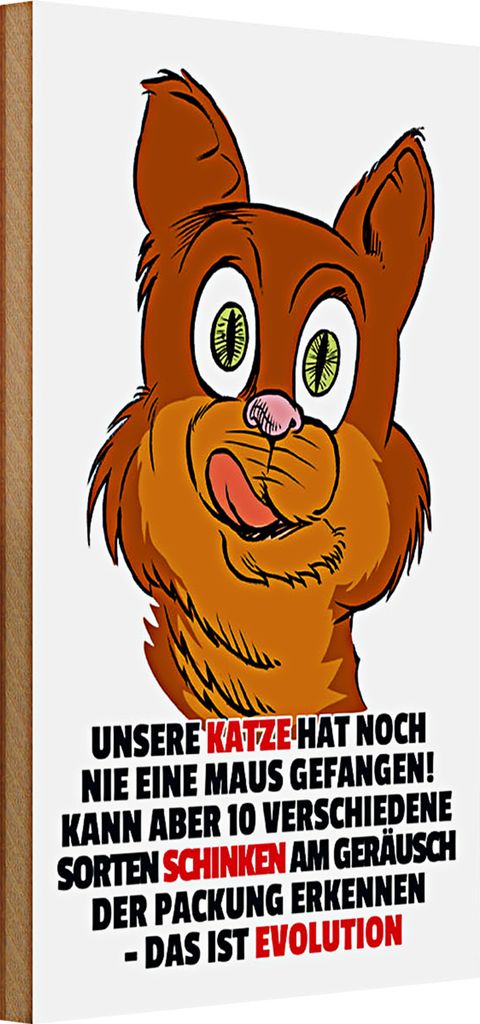 Holzschild Spruch 20x30cm Katze hat noch nie Maus gefangen