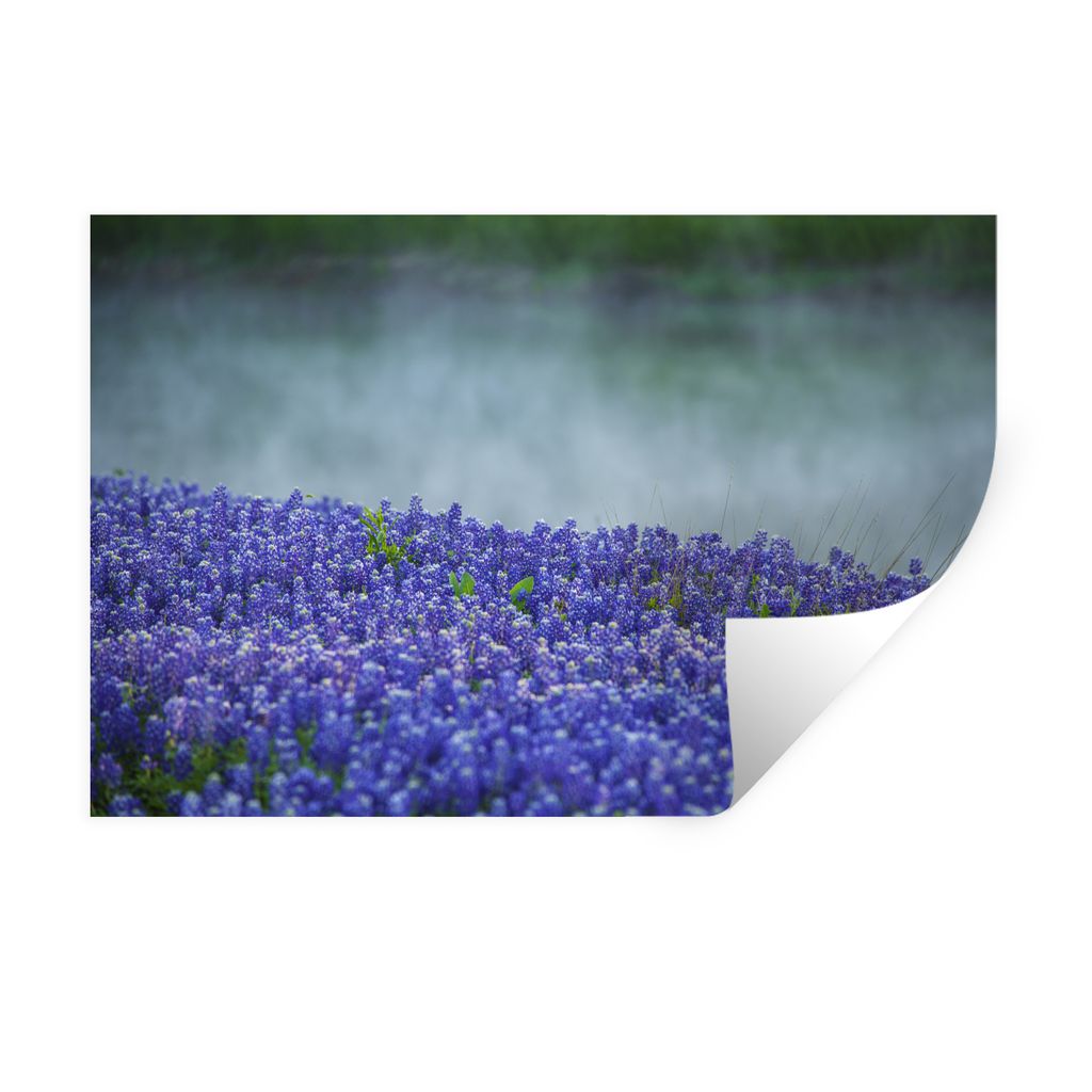 MuchoWow Wandtattoo Wandsticker Wandaufkleber Nebel über einem Feld mit Texas Bluebonnet Blumen 30x20 cm Selbstklebend und Repositionierbar - Wi...