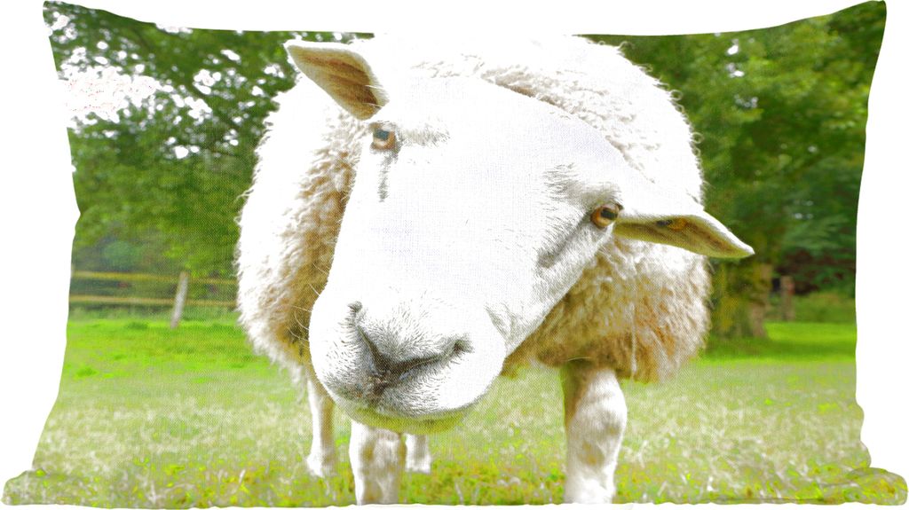 MuchoWow Zierkissen Sofakissen Wohnzimmer Dekokissen 60x40 cm Schaf - Lustig - Wiese - Kinder - Jungen - Mädchen - Kind - Kopfkissen - Polster m...