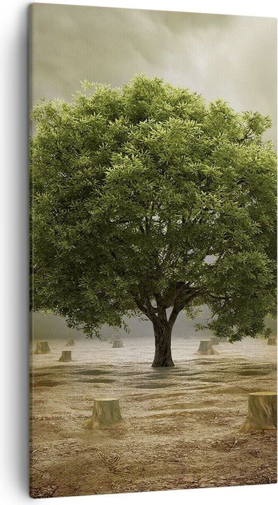 Bild auf Leinwand - Leinwandbild - Baum Feld Umwelt - 45x80cm - Wand Bild - Wanddeko - Wandbilder - Leinwanddruck - Bilder - Kunstdruck - Wanddekor...