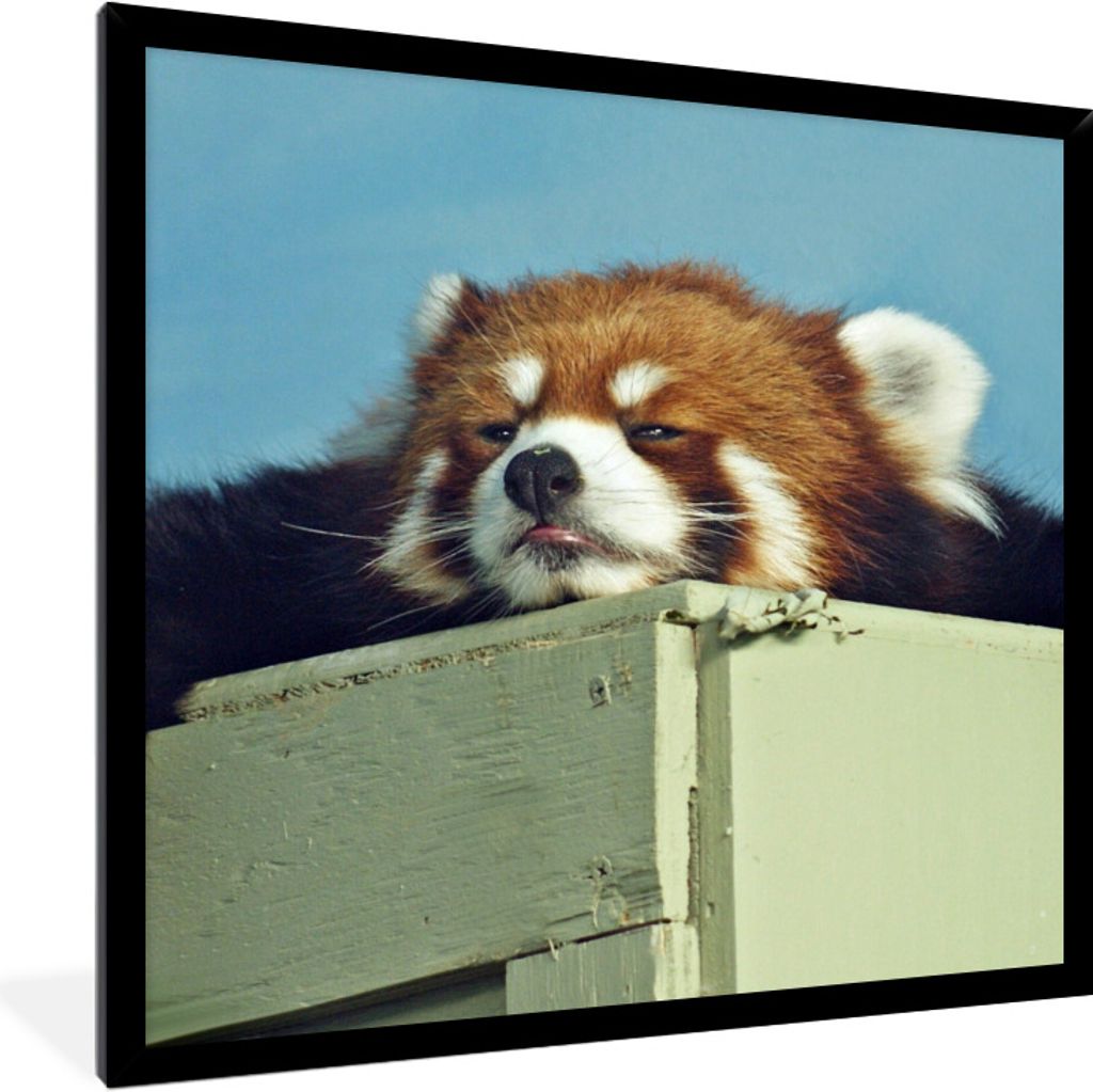 MuchoWow Gerahmtes Poster Panda - Holz - Rot 40x40 cm - Poster mit Schwarzem Bilderrahmen Wandposter Rahmen Foto Bilder - Mit Rahmen - Wanddekora...