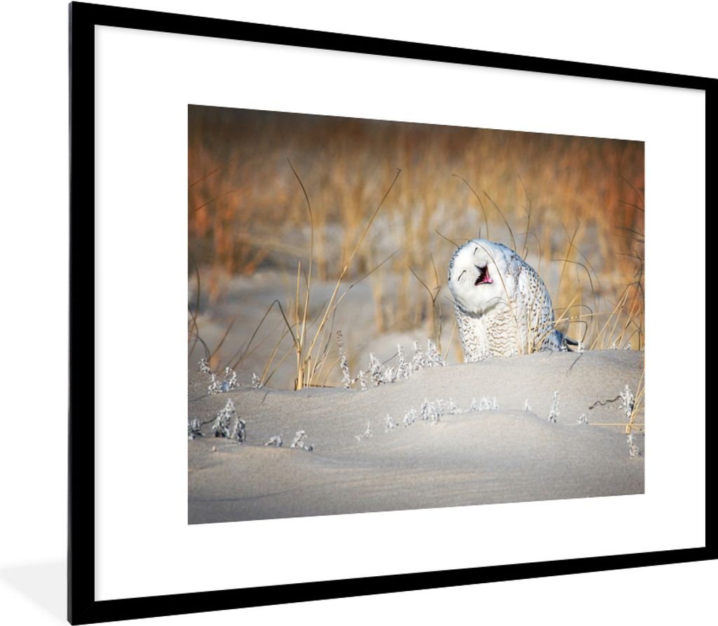 MuchoWow® MuchoWow® Gerahmtes Poster Eule - Schnee - Düne Produktbild 
