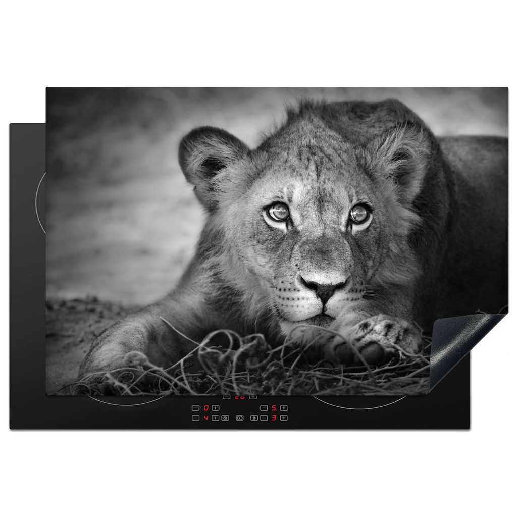 KitchenYeah Herdabdeckplatte Wildtiere - Löwe - Natur - Schwarz - Weiß , 76x51cm, Küche Deko, Glaskeramikfeld Herdabdeckung, Abdeckplatte fùr...