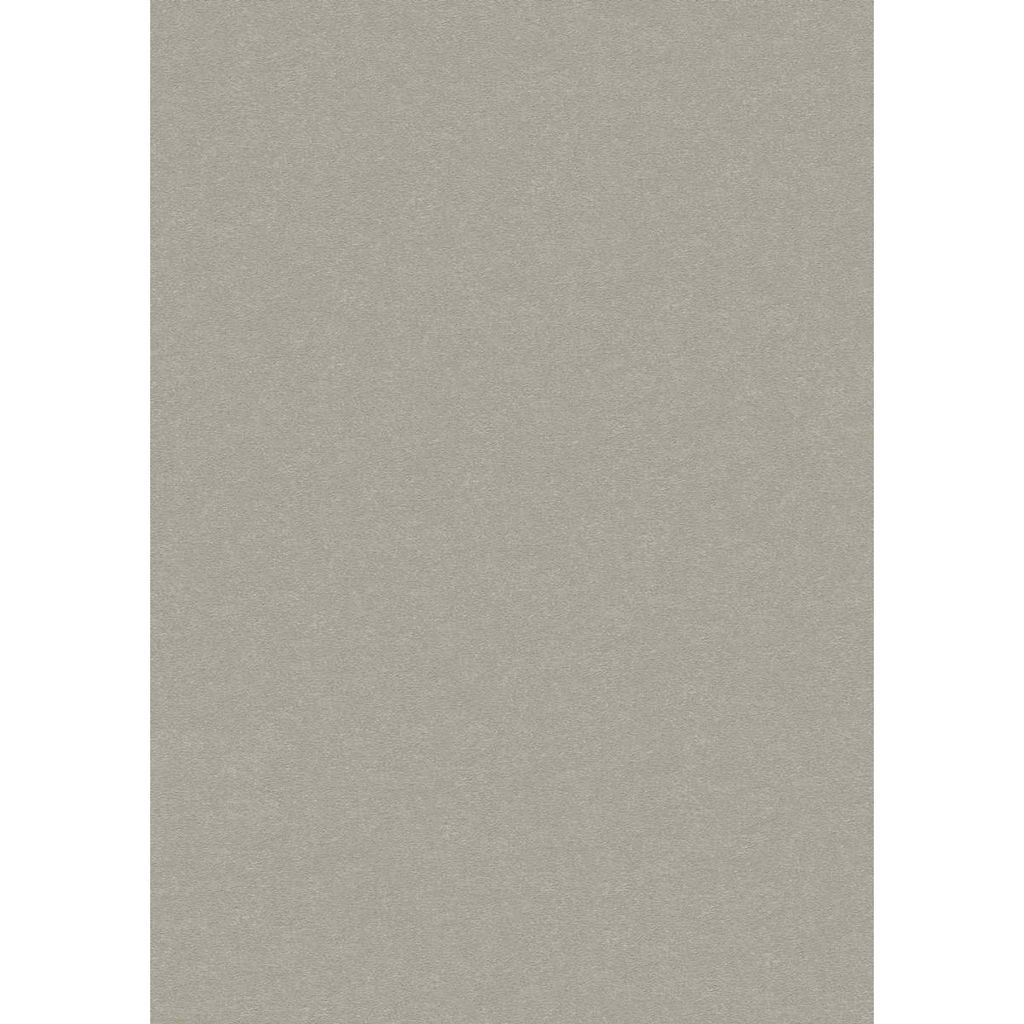 Erismann | Imitations | 593802 | Vliestapete | Einfarbig | Uni | 0.53 x 10.05 m | Beige | Wohnzimmer | Flur | Büro | Küche | Wohnräume