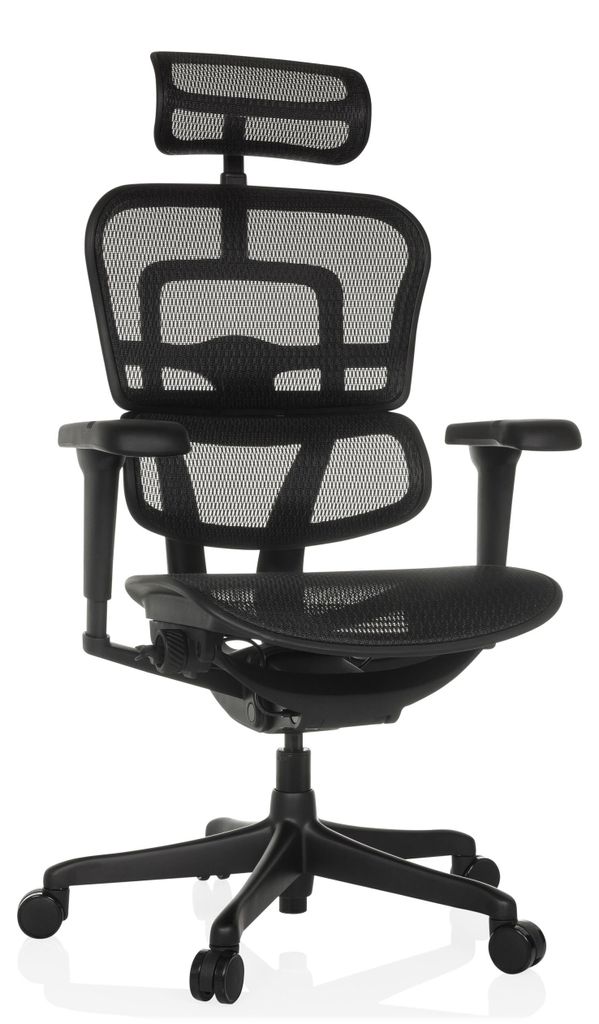 hjh OFFICE Luxus Chefsessel ERGOHUMAN SIGNATURE GEN2 Ergonomischer Bürostuhl mit Armlehnen (höhenverstellbar) Netzstoff Drehstuhl für Büro, Zuh...