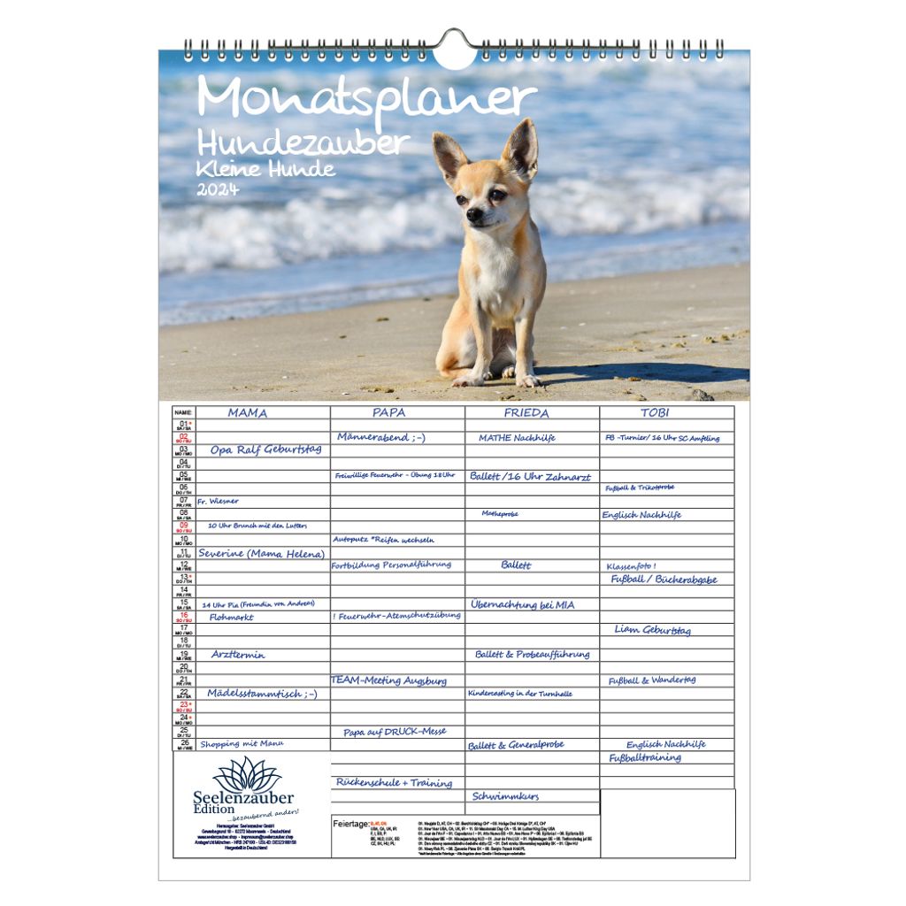 Hundezauber Kleine Hunde Wandplaner Familienplaner 4 Spaltenplaner A3 Kalender für 2024 Welpen und kleine Hunde - Seelenzauber