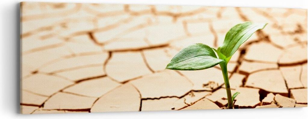 Bild auf Leinwand - Leinwandbild - Wüste Erde Umwelt - 90x30cm - Wand Bild - Wanddeko - Wandbilder - Leinwanddruck - Bilder - Kunstdruck - Wanddek...