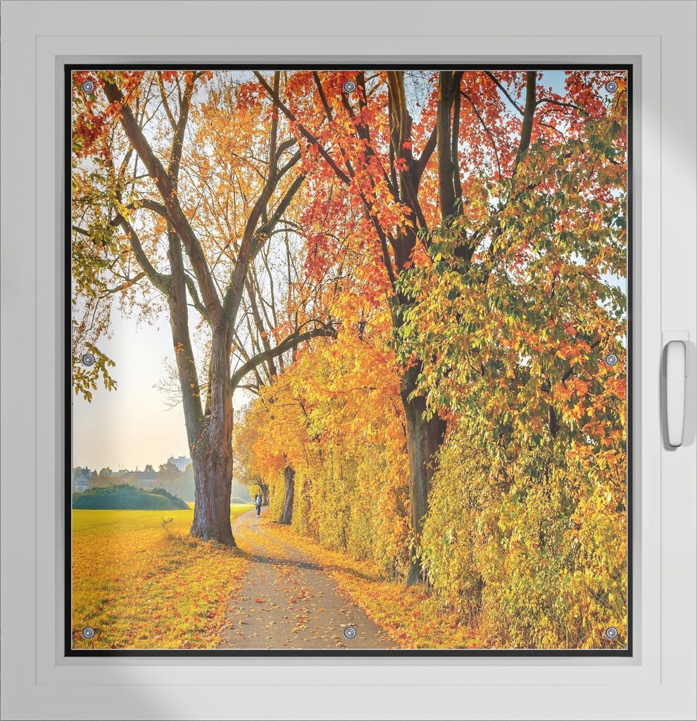 Wallario Lichtschutzbild, Dekorativer Sichtschutz Sonnenschutz 96 x 93 cm mit Motiv: Herbstlicher Waldweg mit buntem Laub - Verdunklung ohne Bohren