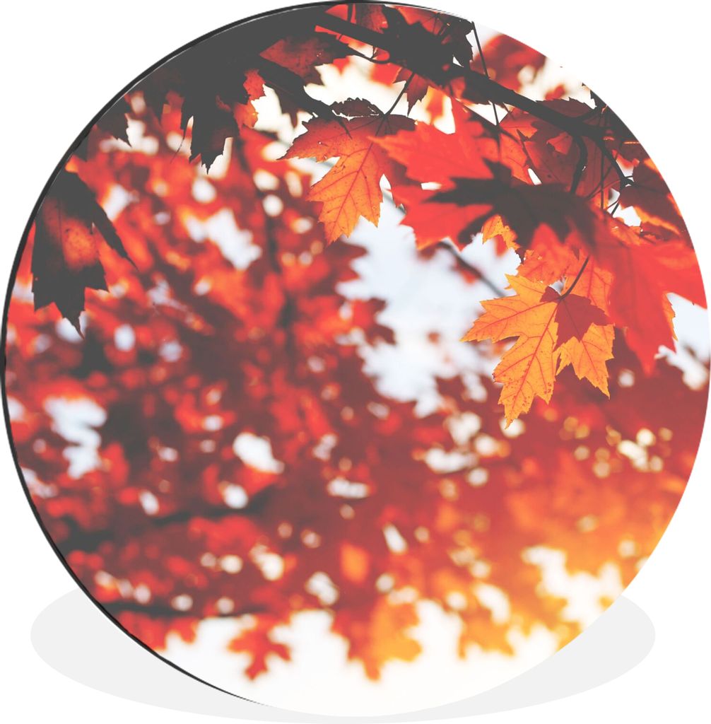 MuchoWow Aluminium Wandkreis Herbstliche Blätter - Rustikale Dekoration - Sonne Ø 90 cm Wanddeko Modern Wohnzimmer - Mauerkreis - Wandbilder - ...
