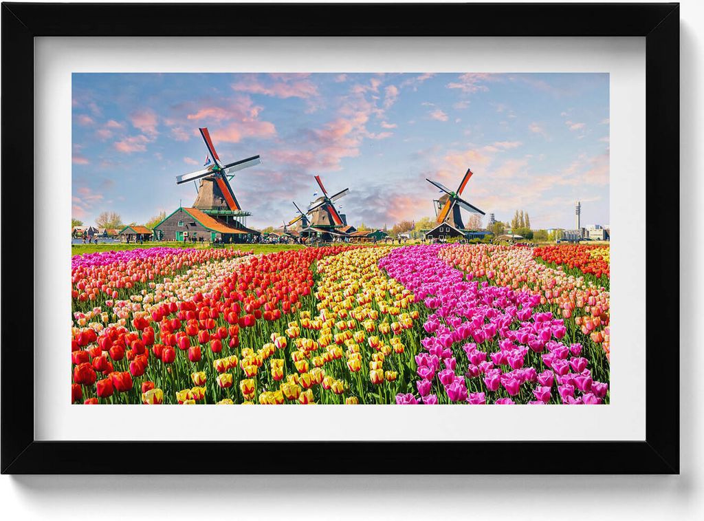 Landschaft mit Tulpen Niederlande– Wandbild mit Rahmen – Gerahmtes Bild – Wanddekoration – 30x20 cm – Schwarz Rahmen