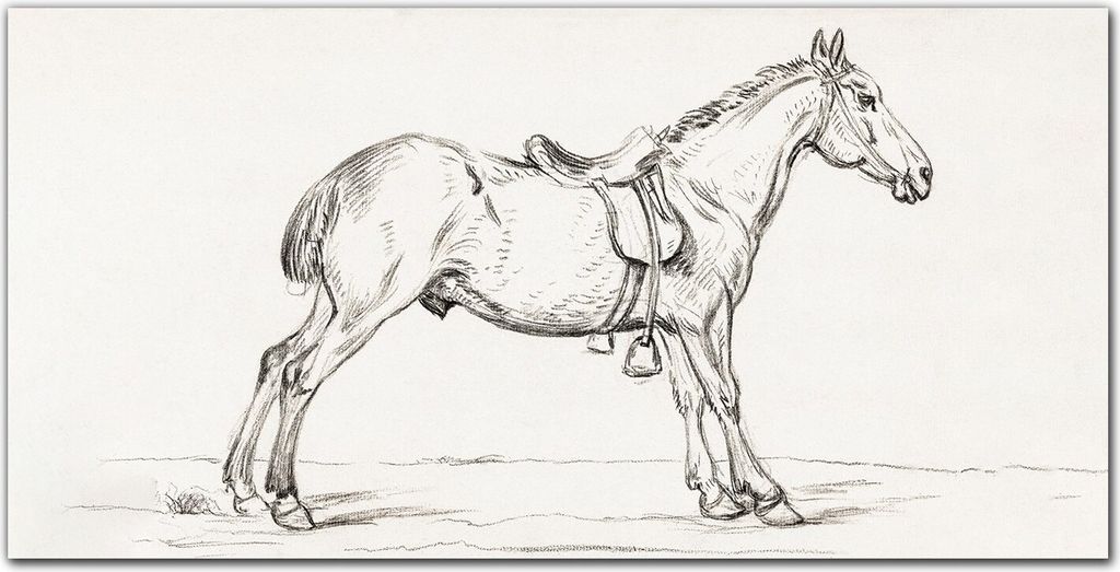 Coloray Bild aus Acryl 140 cm x 70 cm - Bild auf Acrylglas Gehärtetes Acryl Wohnzimmer Küche Dekoration Wanddekoration - Tier Pferd