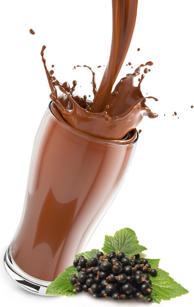 Schwarze Johannisbeeren Kakao 500g