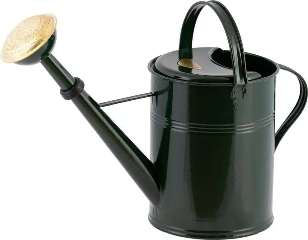 Arrosoir 5L anti-fuite en acier vert - Arrosage précis sans effort