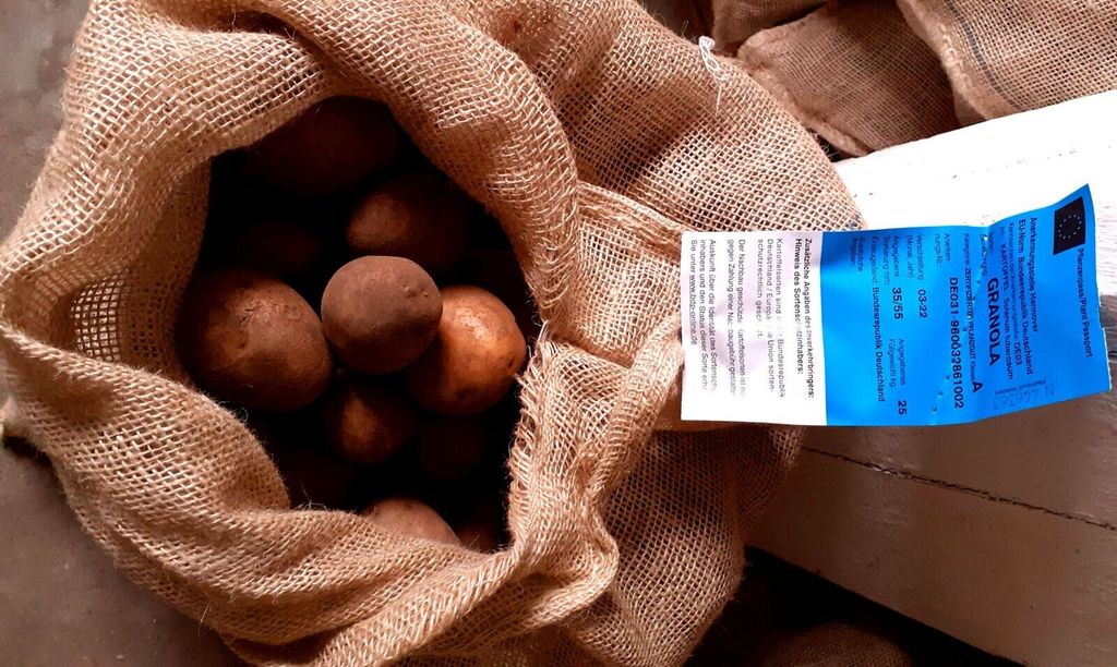 Pflanzkartoffeln Granola 25 kg Setzling Saatkartoffeln Setzkartoffeln