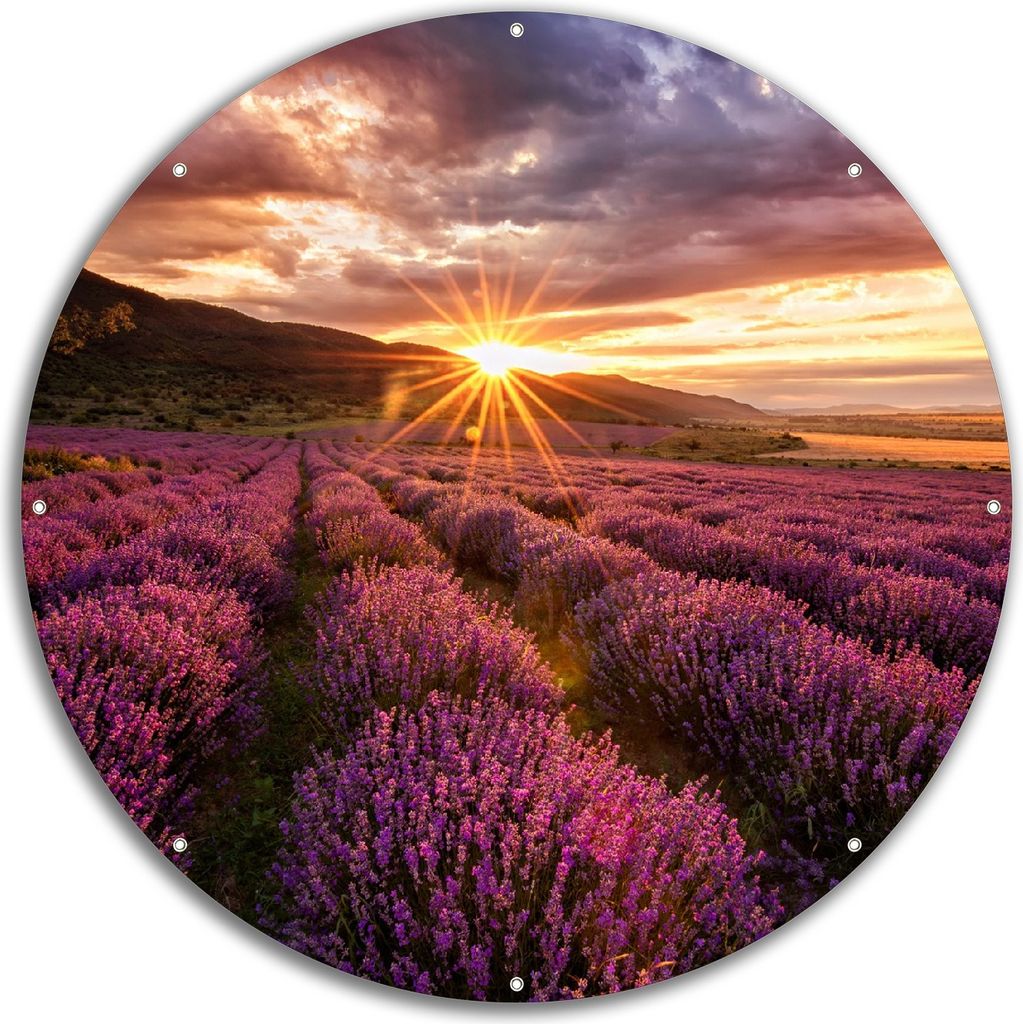 Wallario rundes Outdoor-Poster für Garten oder Balkon, Motiv Lavendelfeld bei Sonnenuntergang - Sonnenstrahlen, 60 cm Durchmesser
