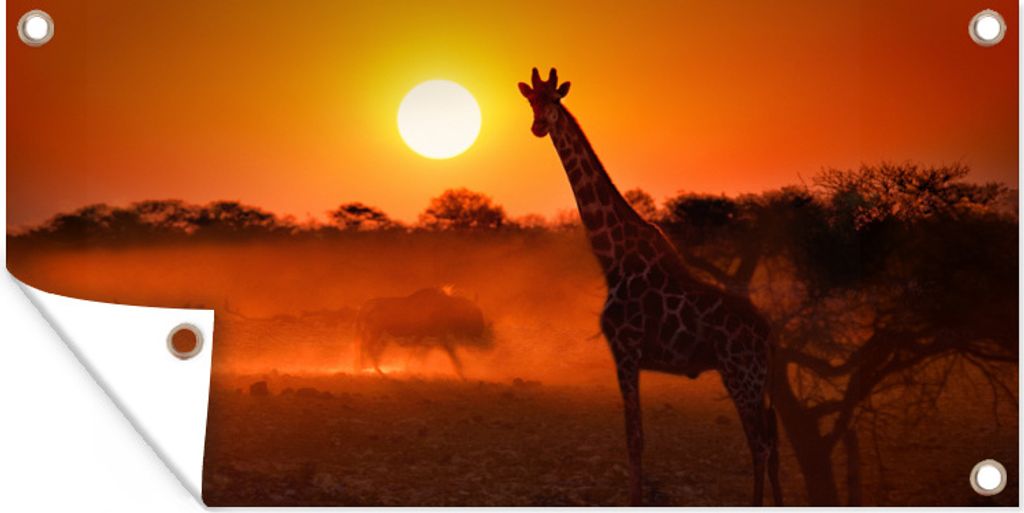 MuchoWow 160x80 cm Outdoor-Poster Gartendeko Sichtschutz Garten Poster für den Garten Giraffe - Sonne - Savanne