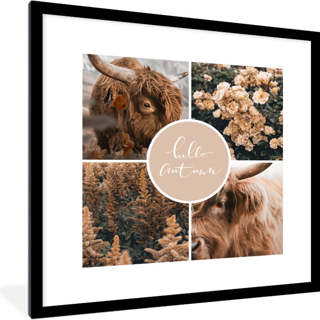 MuchoWow Gerahmtes Poster Schottischer Highlander - Herbst - Collage 40x40 cm - Poster mit Schwarzem Bilderrahmen Wandposter Rahmen Foto Bilder -...