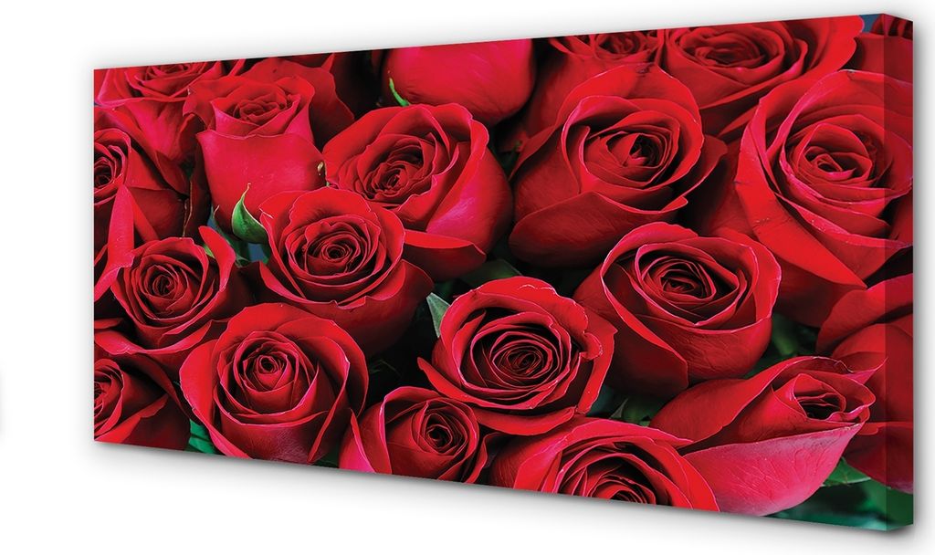 Leinwandbild 140x70 Wandkunst Rosen