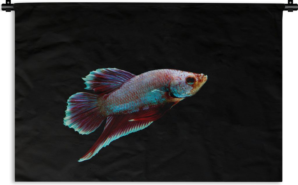 MuchoWow Wandteppich Wandbehang Fische - Tiere - Licht 120x80 cm Tapisserie Dekoration Wandtuch - Wanddekorationen - Wandtücher