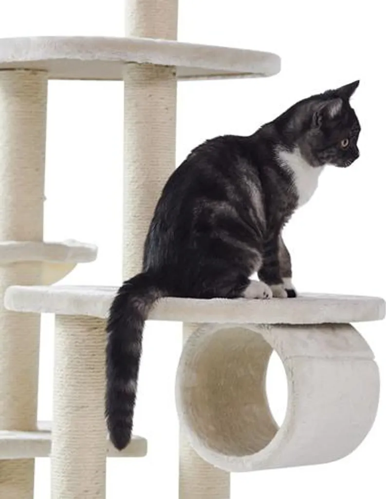 Arbre à Chat Nobby Dilan : Finis les Griffes sur le Canapé - Crème - 2