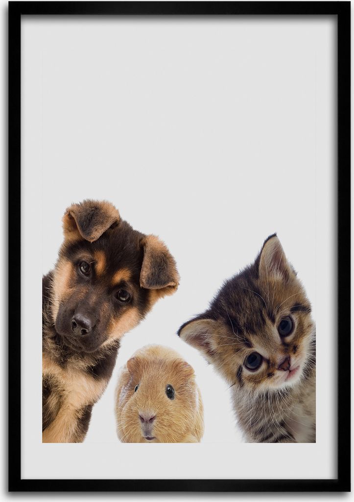 Bild - Bilderrahmen - 50 cm x 70 cm - MDF - Rahmen - Wandkunst Haustiere