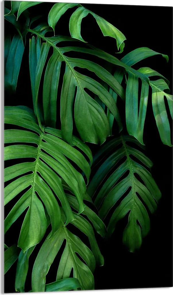 Copri Fornelli 30x52 Vetro Temperato Tagliere Alzatina Verde Fogliame