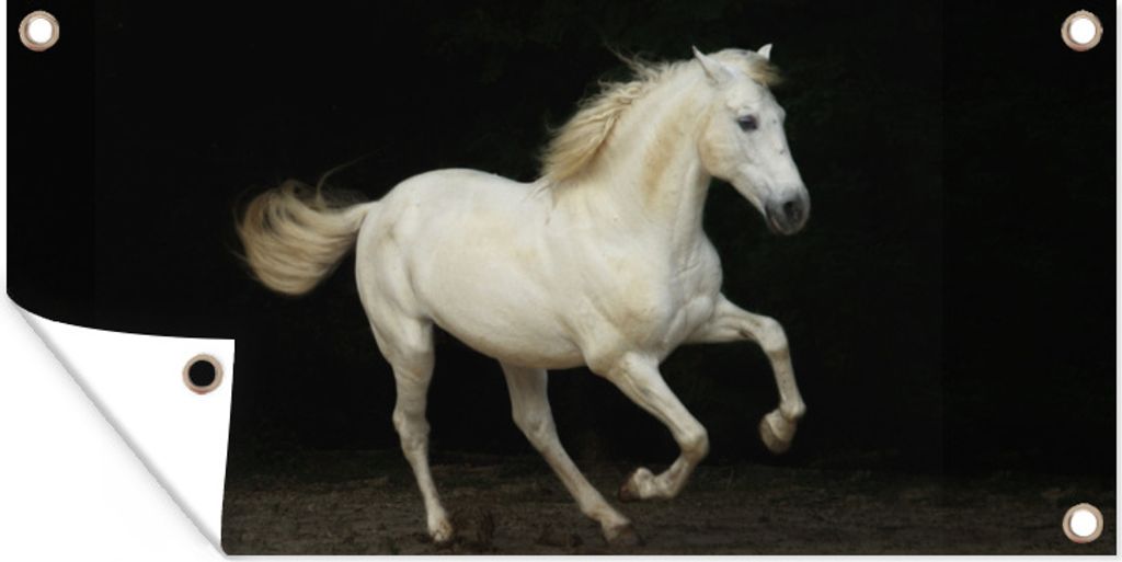 MuchoWow 60x30 cm Outdoor-Poster Gartendeko Sichtschutz Garten Poster für den Garten Pferd - Sand - Weiß