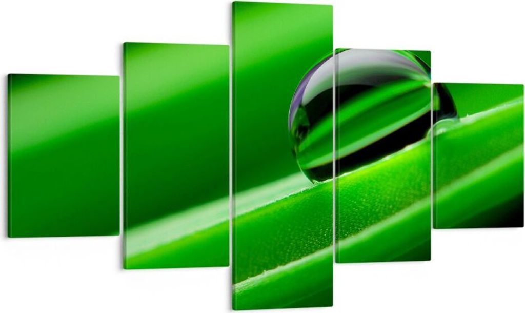 Bild auf Leinwand - Leinwandbild - Pflanze Tropfen Wasser Blase - 125x70cm - Wand Bild - Wanddeko - Leinwanddruck - Bilder - Kunstdruck - Wanddekor...