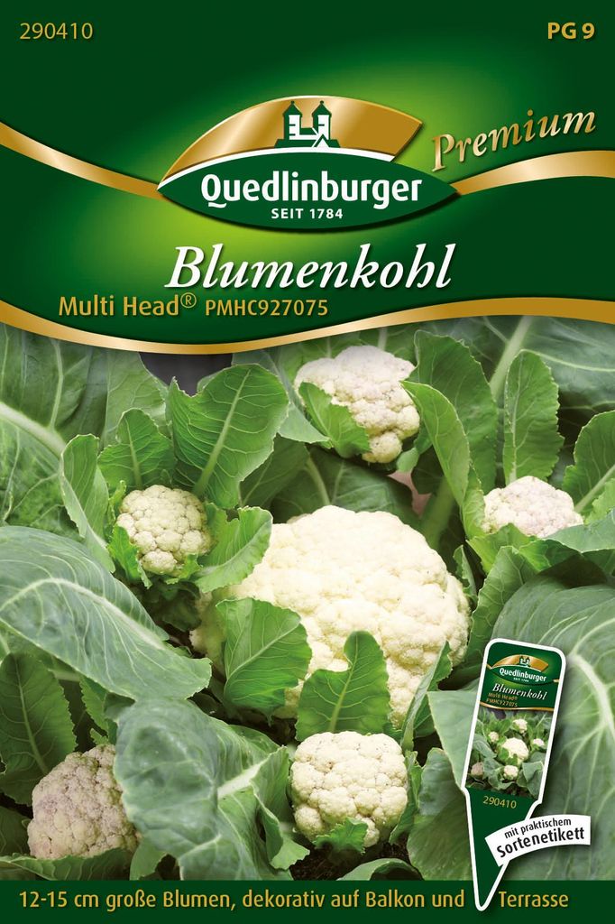 Blumenkohl 'Multi' Quedlinburger Gemüsesamen Produktbild 