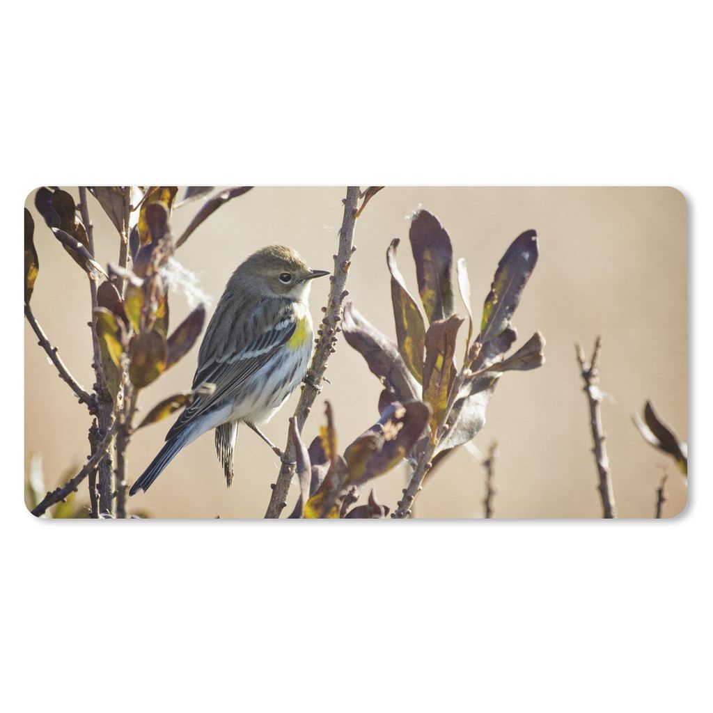 MuchoWow Mauspad Mousepad Vogel zwischen einem Zweig mit Blättern 60x30 cm - Mousepads - Maus Mat - Pad - Mausunterlage - Nachhaltig