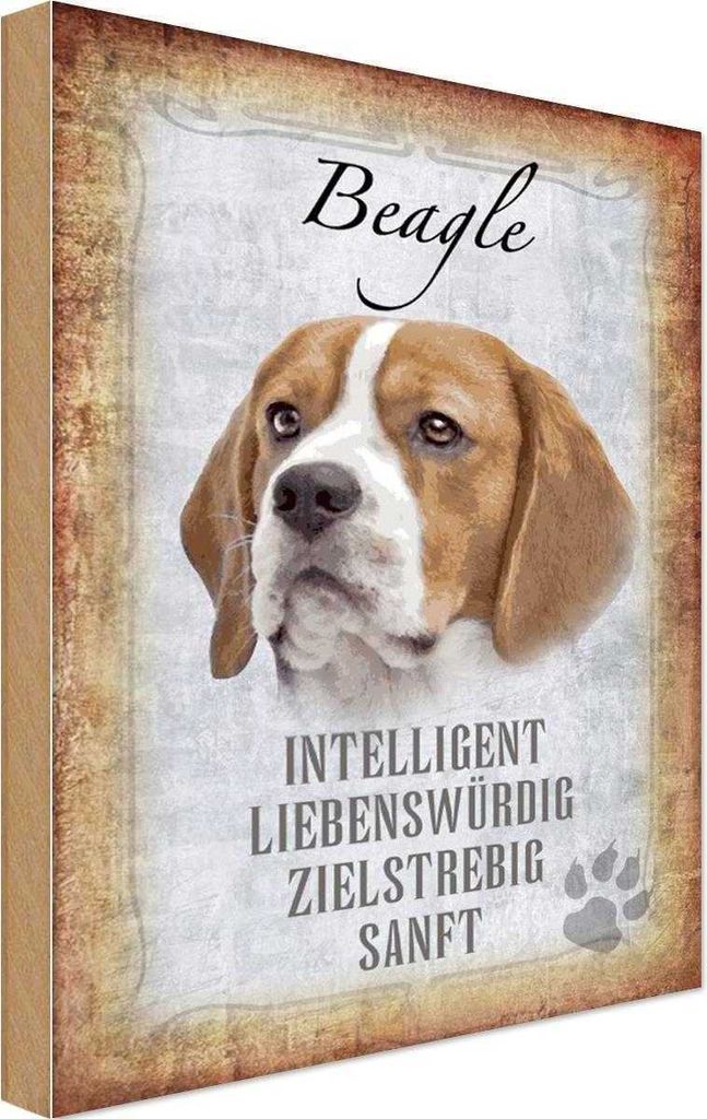 vianmo Holzschild 18x12 cm Beagle Hund Tier Haustier