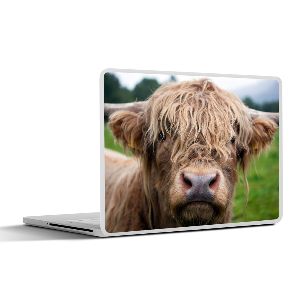 MuchoWow Laptop Aufkleber Sticker Cover Schottische Highlander - Gras - Wald 36.5x27.5 cm - Laptop-Sticker