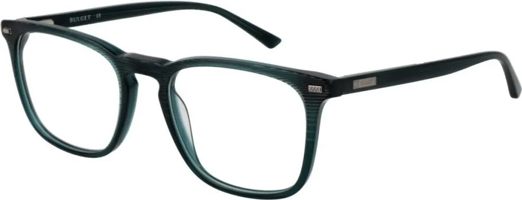 Lunettes de Vue Bulget BG6457M 52T01 en Acétate avec Charnières Flex