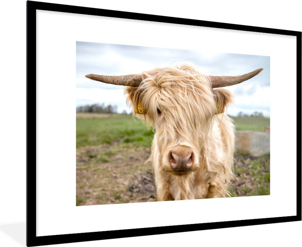 MuchoWow Gerahmtes Poster Schottische Highlander - Licht - Landschaft 90x60 cm - Poster mit Schwarzem Bilderrahmen Wandposter Rahmen Foto Bilder ...