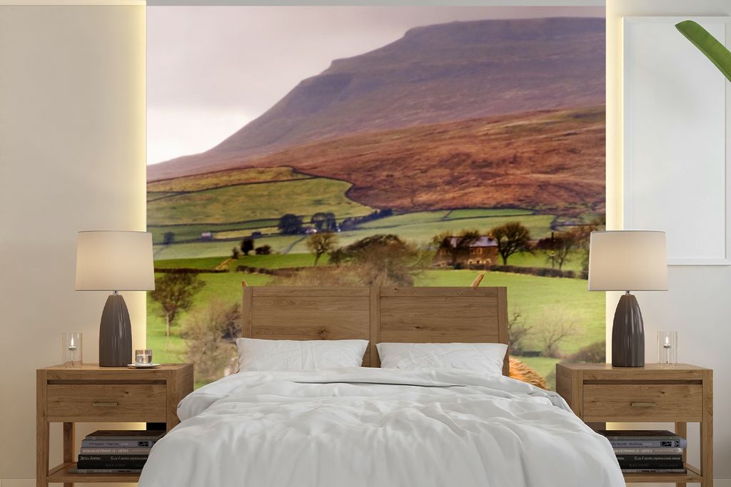 MuchoWow Fototapete für Wohnzimmer oder Schlafzimmer Wandtapete Vinyl Motivtapete Schottischer Highlander - Berg - Herbst - 220x220 cm - Tapeten