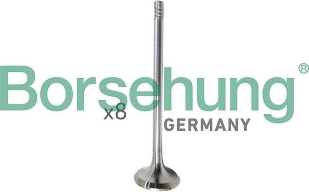 Borsehung B10322 Einlassventil OE 04E109601 kompatibel mit Ibiza, Mii, Toledo, Citigo, Fabia, Octavia, Yeti, Caddy, Golf Sportsvan, Golf VII, Polo ...
