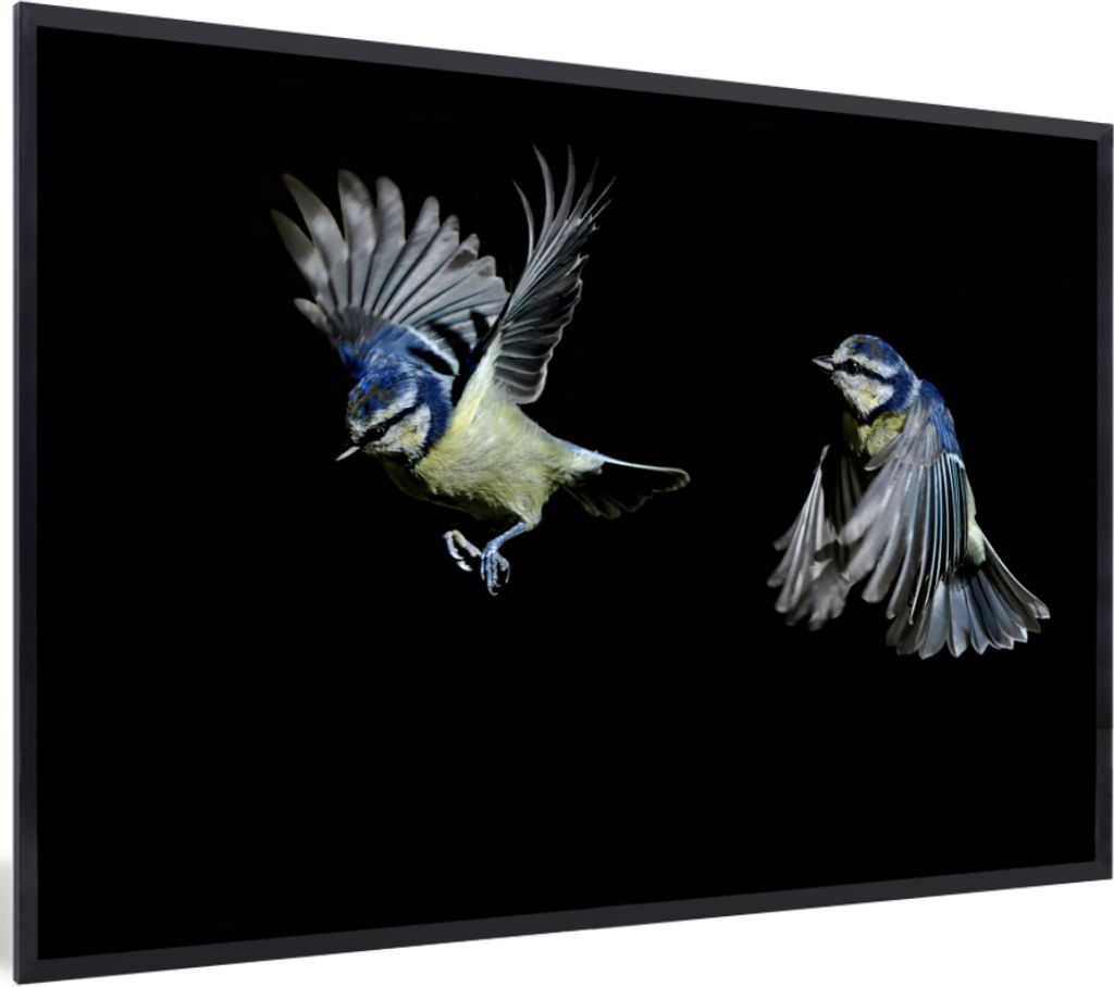 MuchoWow MuchoWow Gerahmtes Poster Vögel - Federn - Schwarz 90x60 cm - Poster mit zchwarzem Bilderrahmen - Fotorahmen - Foto-Plakat